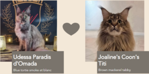 Titi et Udessa 2025
