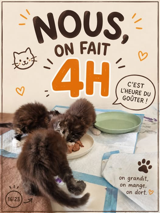 Impossible de se lasser de ces magnifiques bébés…